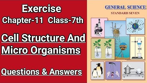 Class 7thChapter 11 - Cell Structure And Micro Organisms| Science Solutions for clas7th Exercise