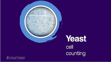 Yeast cell count intro