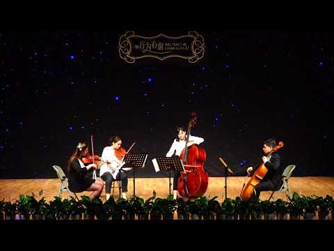Double Bass Quartet No. 2 1st Movt. Hoffmeister 霍夫迈斯特低音提琴四重奏