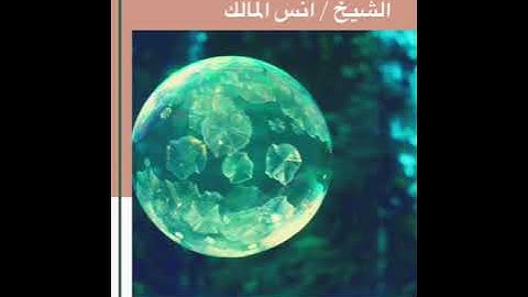 القارئ الشيخ انس المالك سورة القصص