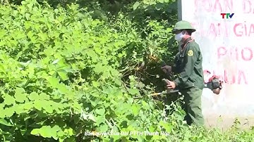 Chủ động ngăn chặn nguy cơ cháy rừng trong mùa nắng nóng