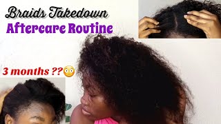 Taking down my 3 months old Braids + Aftercare Routine || How to properly detangle