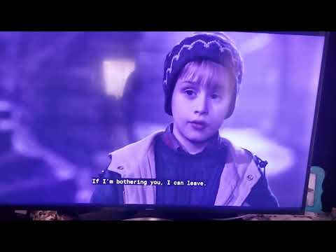 Home Alone 2 (1992) Pigeons in Central Park (Audio Description)