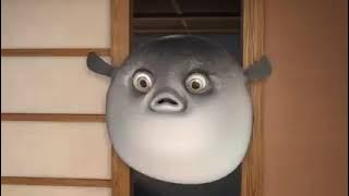 Film lucu ikan buntal tidak mau di masak