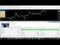 Black Rock EA MT4 Review – Multi Currency Trading with Low Spread Focus