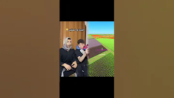 الجدة و الحفيد 