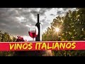 Variedad de vinos italianos / Sommelier Oscar Rangel