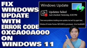 How To Fix Windows Update Error Code 0xca00a000 on Windows 11