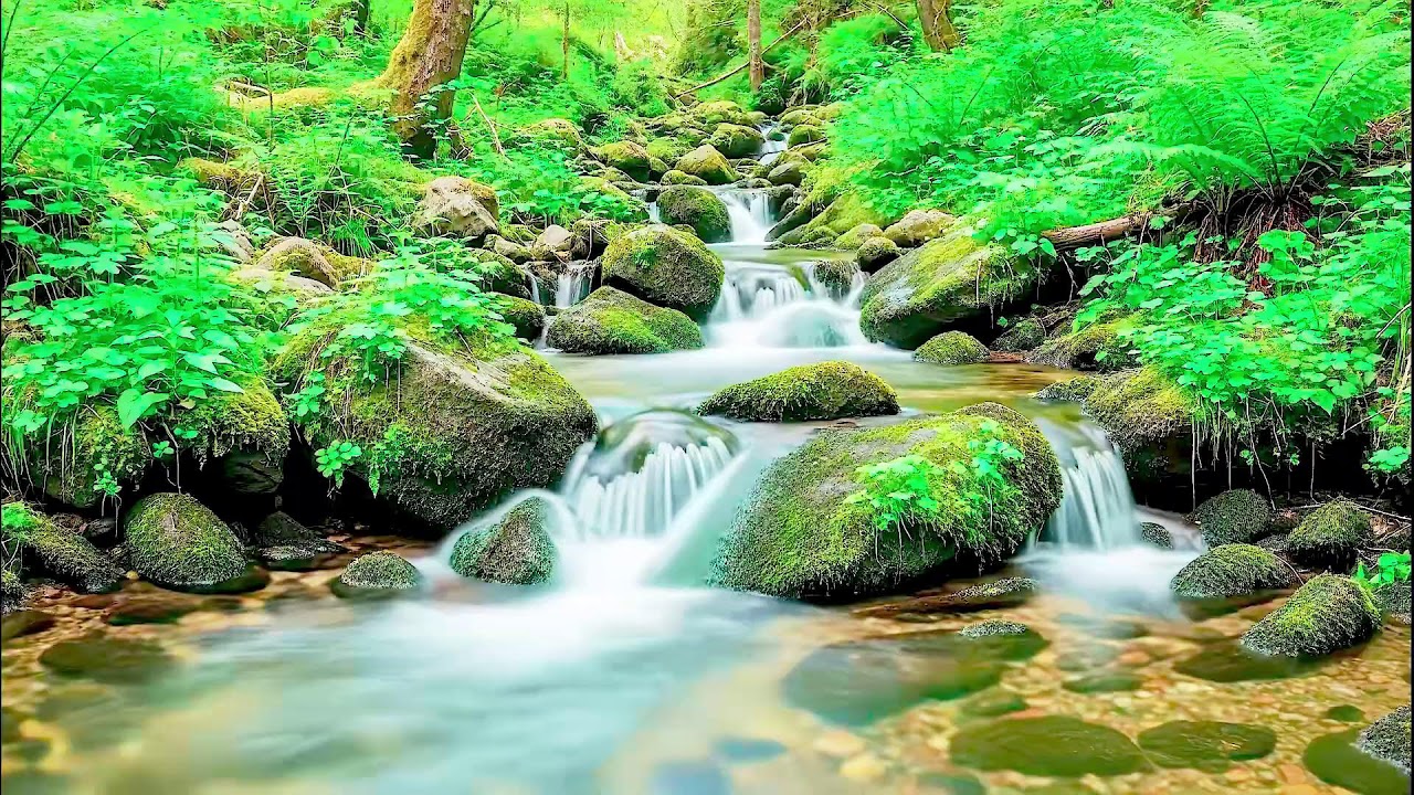 Flowing River Sound for Deep Sleep | Calm Nature Noise for Wellness and Sleep Aid
