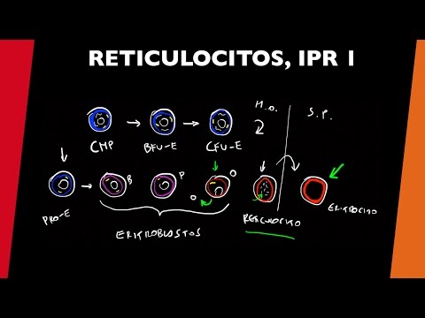 Reticulocitos e IPR 1 - [visita mi Podcast y aprende Medicina mientras descansas]