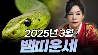 2025년 을사년 양력 3월 뱀띠 운세 | 89년생 77년생 65년생 53년생