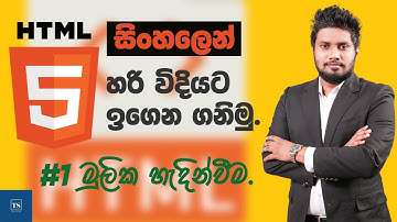 HTML Basic Introduction in Sinhala | HTML in Sinhala - Lesson 01 | Tech Side