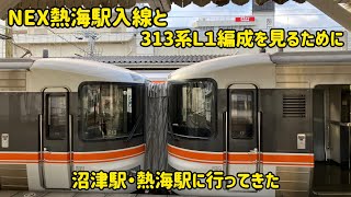 【2/17】①313系L1編成運用を見てきた