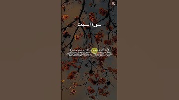 سورة السجدة - #عبدالرحمن_مسعد  #quran #اكسبلور #kurdistan #duet #العراق #لايك #الجزائر #السعودية