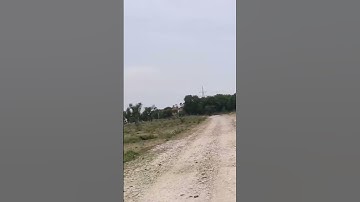 Jda Plot On Ajmer Road Jaipur | Ring Road | Bhankrota | Mahindra Sez #shorts #vira #plot #short