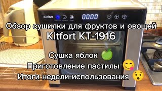 :       Kitfort KT-1916 #  #kitfort #