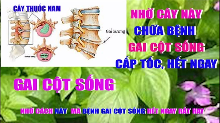 Thuốc nam chữa thoái hóa cột sống lưng