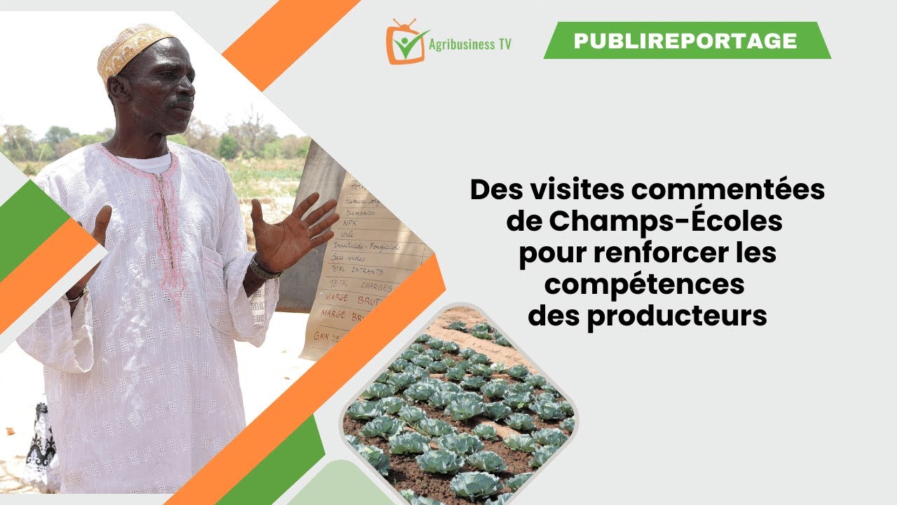 Burkina Faso : Visites commentées de Champs-Écoles pour renforcer les compétences des producteurs