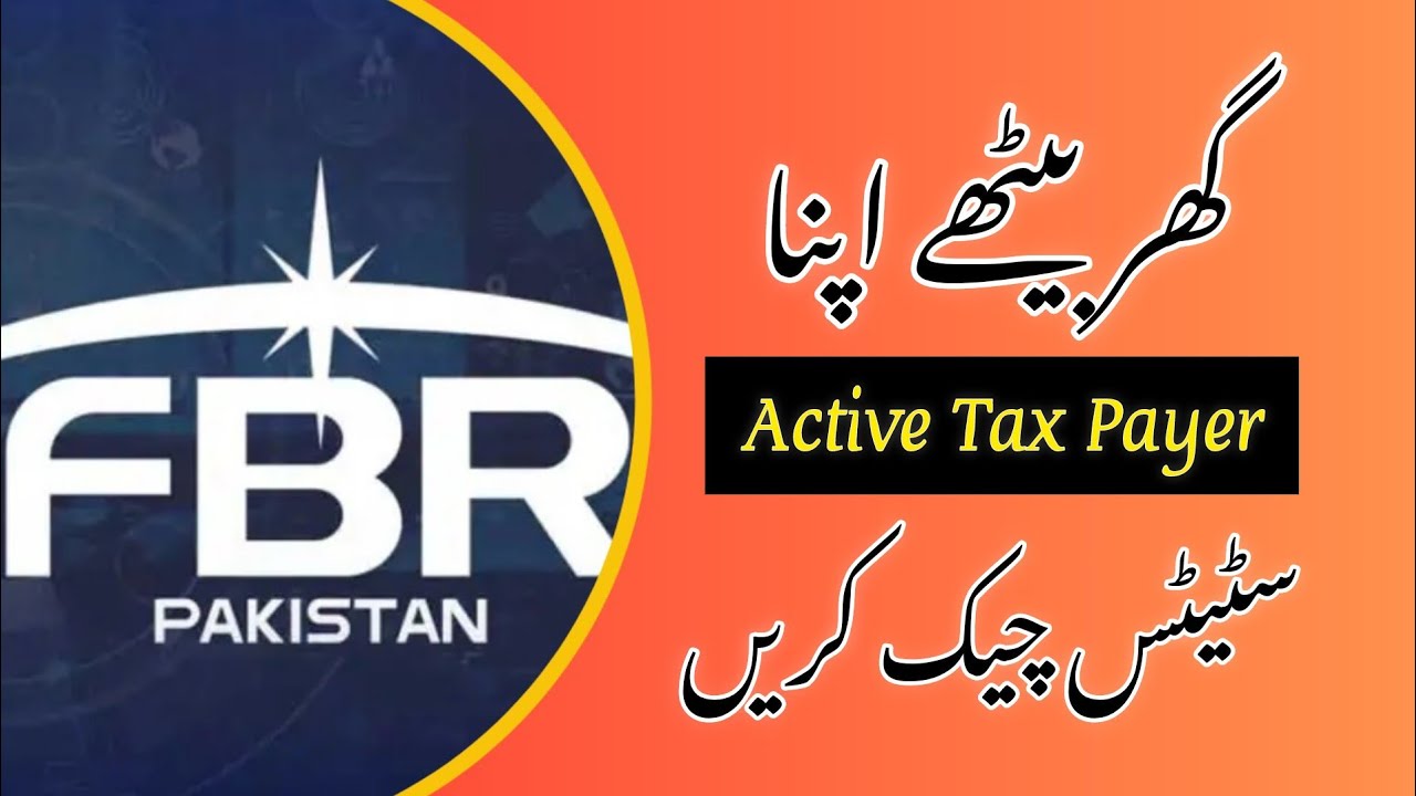 The ABSOLUTE BEST Way to Check Your Taxpayer Status Online 2025