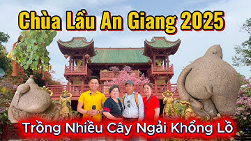 Du Lịch Tâm Linh Chùa Kim Tiên đến Chùa Lầu Tịnh Biên An Giang phát hiện trồng nhiều cây ngải tượng