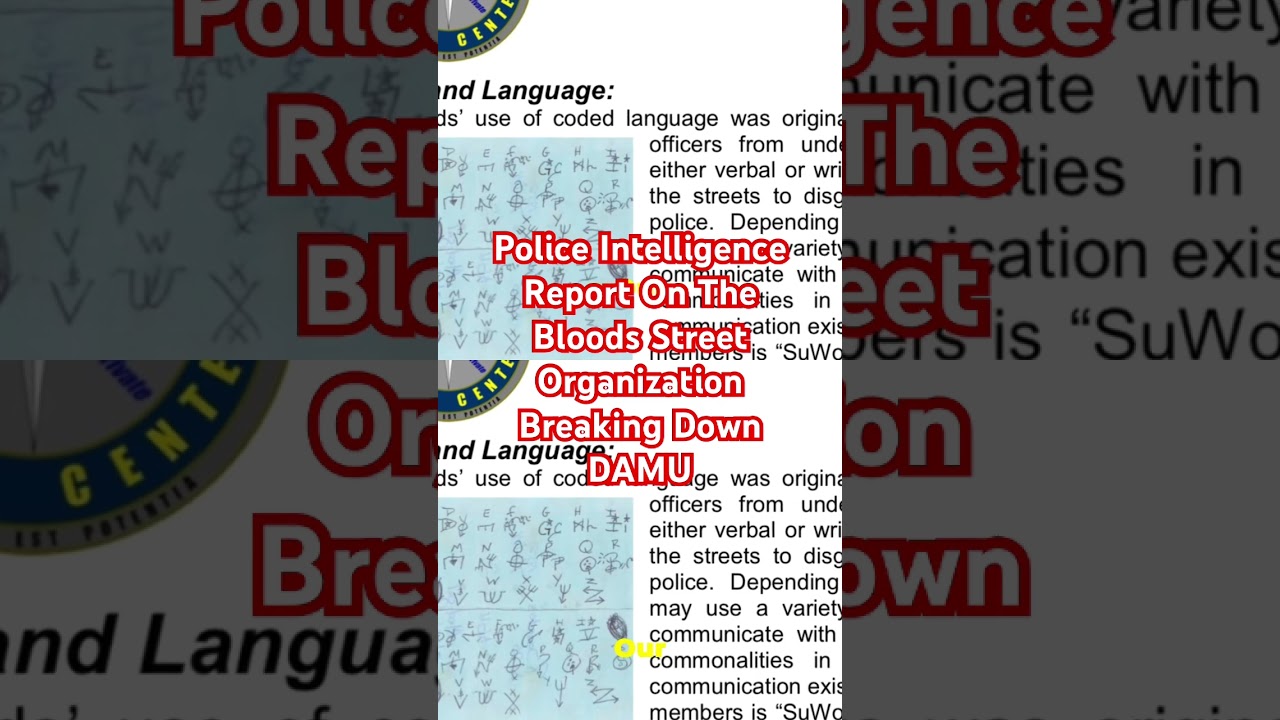 Police Intelligence On The Blood Gang Organization 