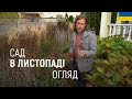 ЛАНДШАФТНИЙ ДИЗАЙН | САД В ЛИСТОПАДІ. ОГЛЯД