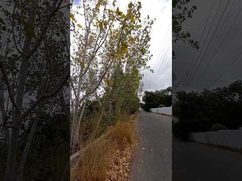 2      بلدة بكفيا ٢ قضاء المتن محافظة جبل لبنان