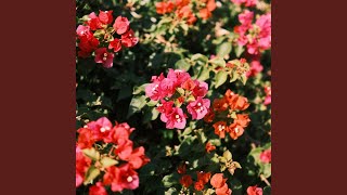 Rindu Yang Tidak Perlu Dijelaskan