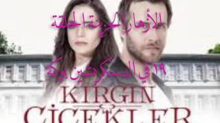 ‎مسلسل الأزهار الحزينة Kırgın Çiçekler - الحلقة 19 مترجم للعربية