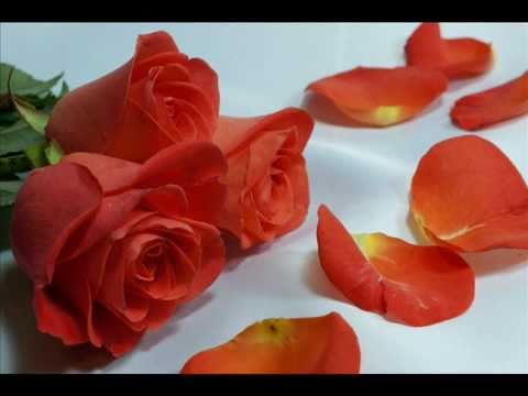 【cover】 大橋純子 「 シルエット・ロマンス 」 by 111tsubaki (  silhouette romance )