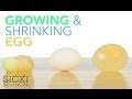 Growing and Shrinking Egg - Sick Science! #187