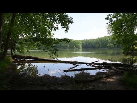 Видео: Seneca Creek State Park: Пълното ръководство