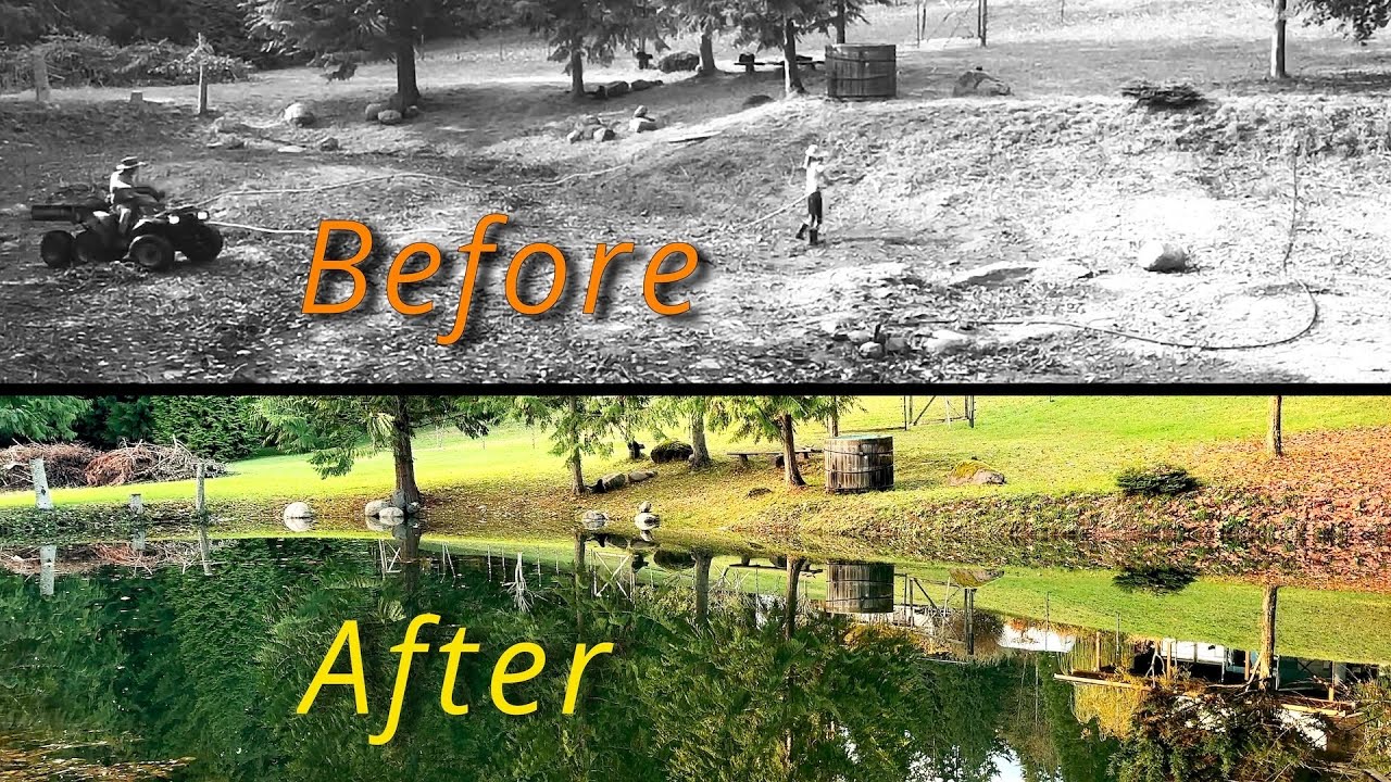 DIY Pond in Country Living How I Build / Seal My Natural Pond with