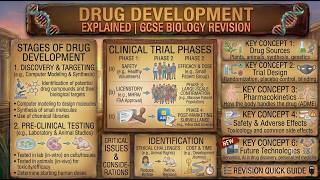 Drug Development Explained | GCSE Biology Revision
