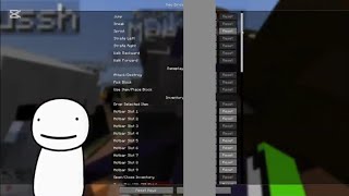 Dream shows chat his Keybinds