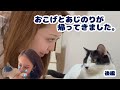 【ご報告】おこげとあじのりが帰ってきました。 #後編