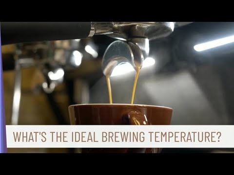 What's the IDEAL Coffee Brewing Temperature?