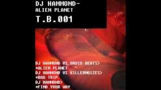 Download Lagu Dj Hammond - Find your way MP3