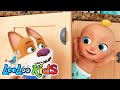 Peek a boo  kids songs and nursery rhymes looloo kids