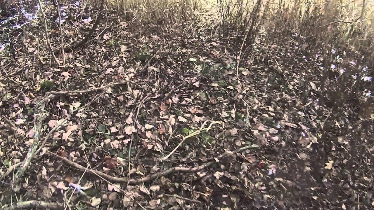 following blood trail YouTube