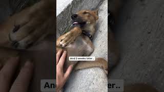 This Story Will Never Get Old