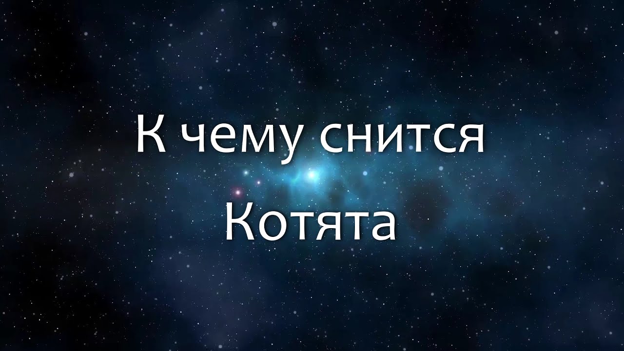 К чему снится Котята (Сонник, Толкование снов)