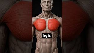 Day 74 Chest barbell Bench press@H@HustleWithDeepak97gym #shorts #chest