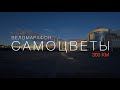 Веломарафон "Самоцветы": мои первые 300 км на велосипеде