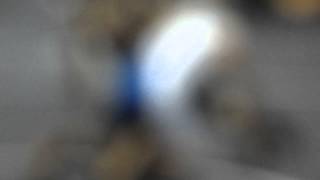 DSCN0095