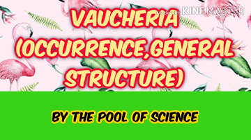 Vaucheria (Occurrence,General Structure) by The Pool of Science