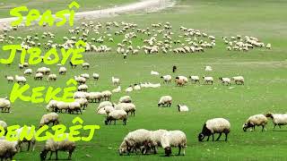 Dengbêj Cemalê Wanê - Lê Lê Delalîkê(Kendi Bestesi Güzel Bir Eser)