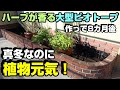 【お正月特別企画】メダカ & 書初め!