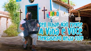 Seu Olhar Não Mente A Vida É Você Mensageiro Beija-Flor- Lara Amélia Forró & Poesia