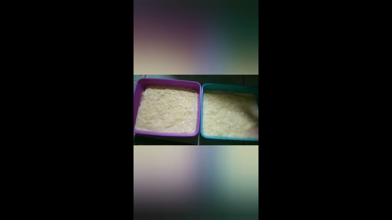 Tofu tiga Bahan Dan Cara membuatnya - YouTube